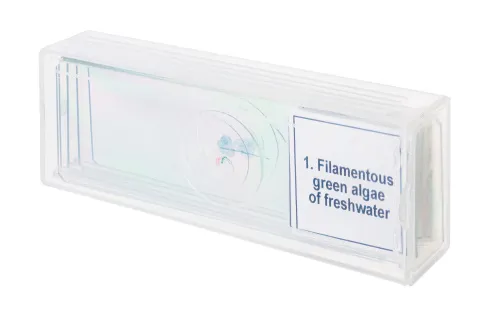 zdjęcie zestaw mikropreparatów Levenhuk Discovery Prof DPS 5. „Biologia”,  4