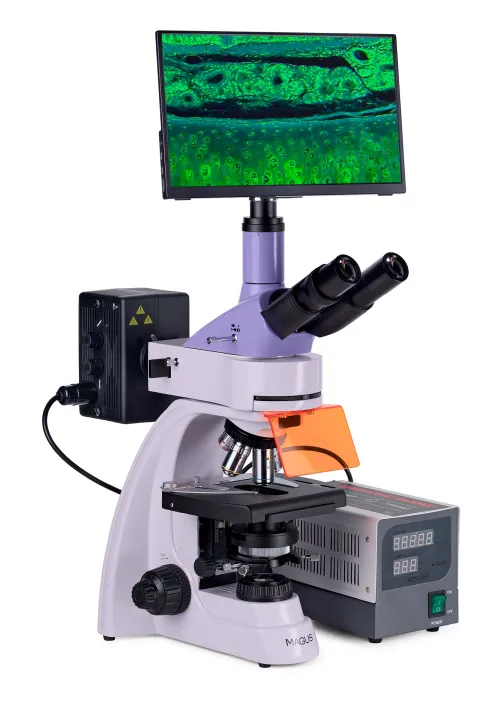 foto mikroskop fluorescencyjny cyfrowy MAGUS Lum D400 LCD,  4