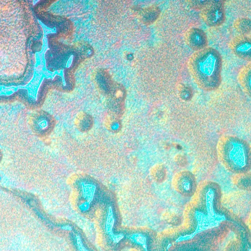 zdjęcie odwrócony mikroskop metalurgiczny MAGUS Metal V790 DIC,  20