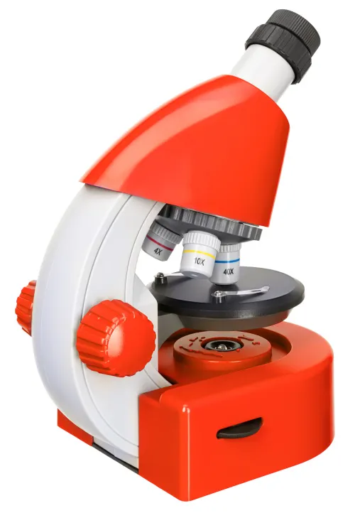 obraz mikroskop Levenhuk Discovery Micro z książką,  9