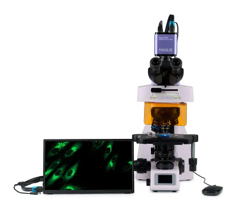 fotografia cyfrowy mikroskop fluorescencyjny MAGUS Lum D450L LCD,  9