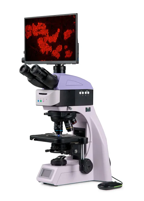 obraz cyfrowy mikroskop fluorescencyjny MAGUS Lum D460L LCD,  2