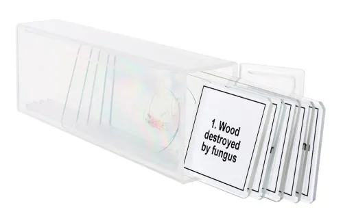 fotografia zestaw mikropreparatów Levenhuk Discovery Prof DPS 5. „Mutacje”,  5