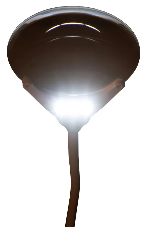 fotografia lupa Levenhuk Zeno Lamp ZL7,  11