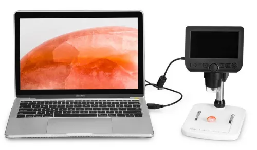 zdjęcie mikroskop cyfrowy Levenhuk DTX 350 LCD,  14