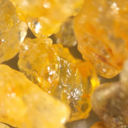 obraz mikroskop stereoskopowy MAGUS Stereo A18T ,  7