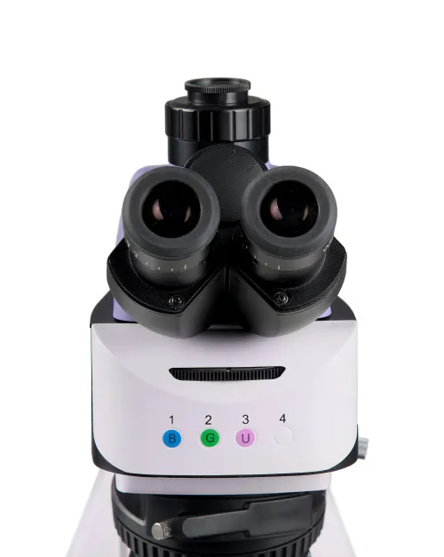 obraz mikroskop fluorescencyjny MAGUS Lum 460L,  10