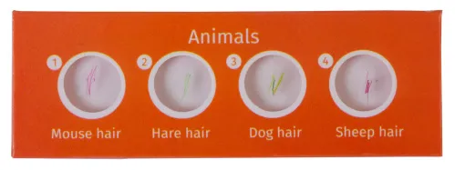 foto zestaw preparatów zwierzęcych i roślinnych Levenhuk LabZZ CP24,  2