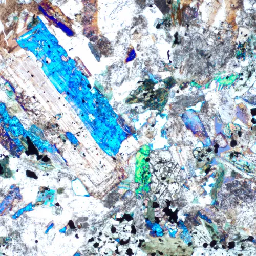 fotografia mikroskop polaryzacyjny cyfrowy MAGUS Pol D850,  23