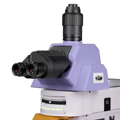 zdjęcie mikroskop fluorescencyjny MAGUS Lum 490L,  9