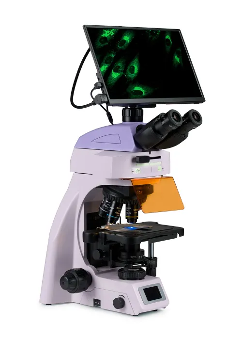 fotografia cyfrowy mikroskop fluorescencyjny MAGUS Lum D450L LCD,  3