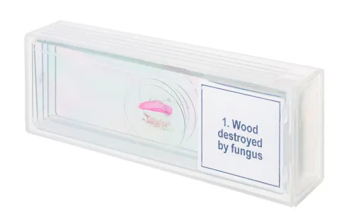 fotografia zestaw mikropreparatów Levenhuk Discovery Prof DPS 5. „Mutacje”,  4