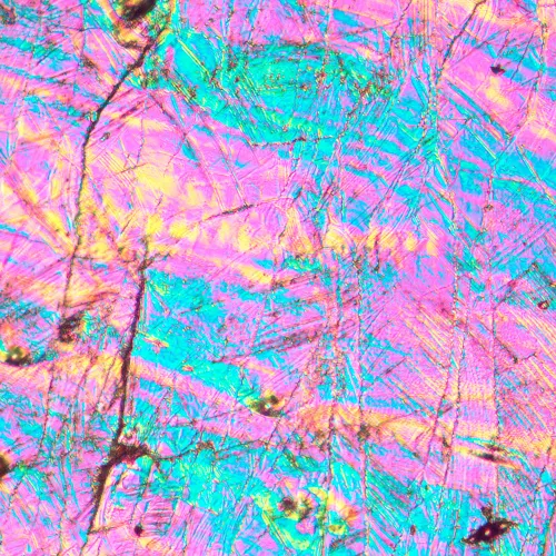 obraz odwrócony mikroskop metalurgiczny MAGUS Metal V700 DIC,  16