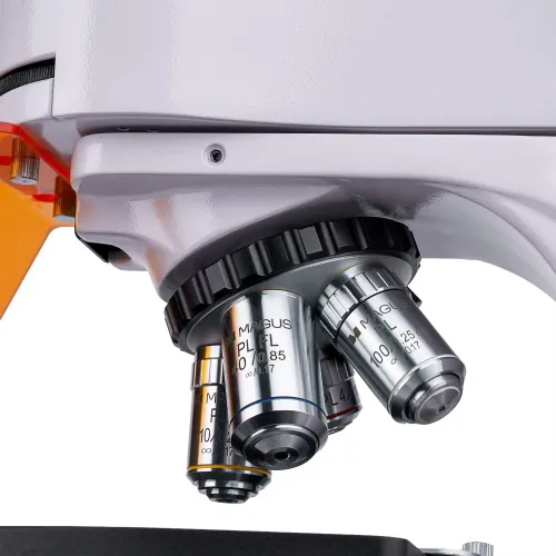 foto mikroskop fluorescencyjny MAGUS Lum 400,  12