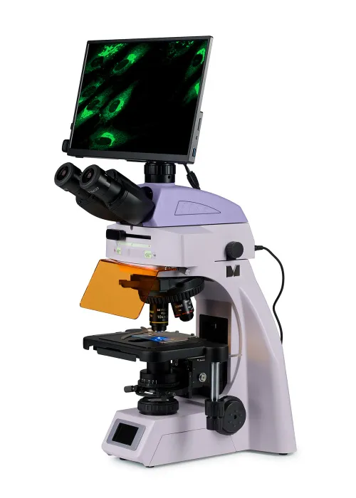 fotografia cyfrowy mikroskop fluorescencyjny MAGUS Lum D450L LCD,  2