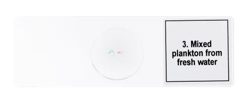 fotografia zestaw mikropreparatów Levenhuk Discovery Prof DPS 5. „Życie w kropli wody”,  7