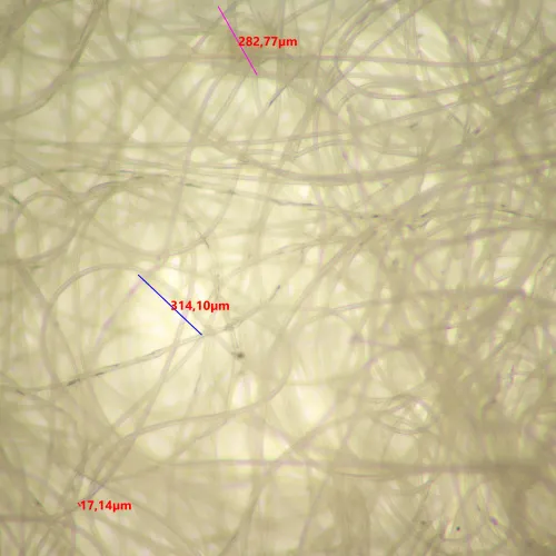 obraz mikroskop stereoskopowy cyfrowy MAGUS Stereo D9T LCD,  26