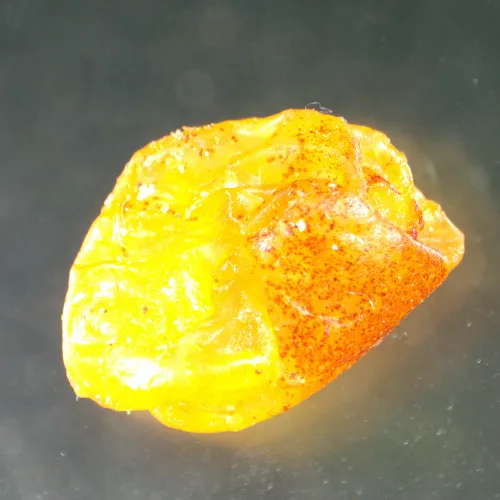 obraz mikroskop stereoskopowy MAGUS Stereo A8,  15