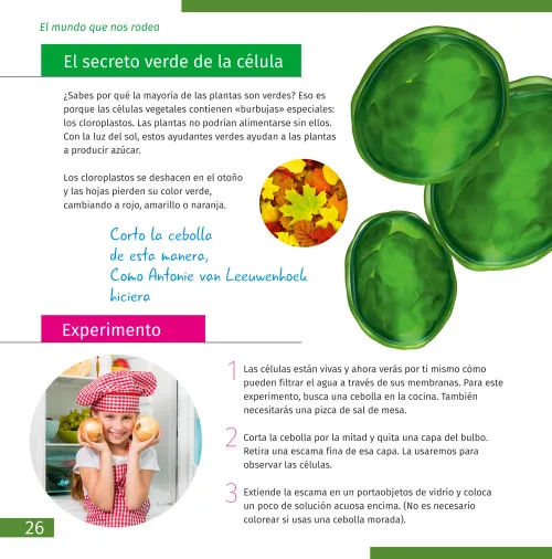 obraz mikroskop Levenhuk Discovery Pico,  7