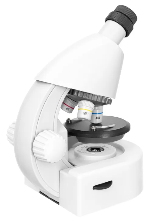 obraz mikroskop Levenhuk Discovery Micro z książką,  9