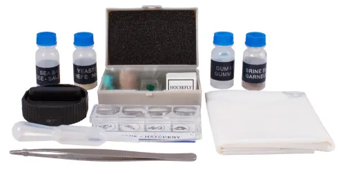 zdjęcie zestaw do eksperymentów Levenhuk K50,  3