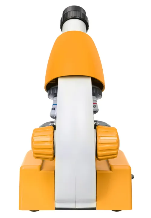 obraz mikroskop Levenhuk Discovery Micro z książką,  10