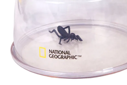 obraz pojemnik Bresser National Geographic 5x XXL do obserwacji owadów,  5