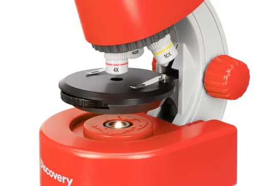 obraz mikroskop Levenhuk Discovery Micro z książką,  13
