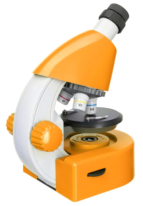 obraz mikroskop Levenhuk Discovery Micro z książką,  9
