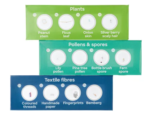 fotografia zestaw 12 preparatów Levenhuk Discovery Flora,  3