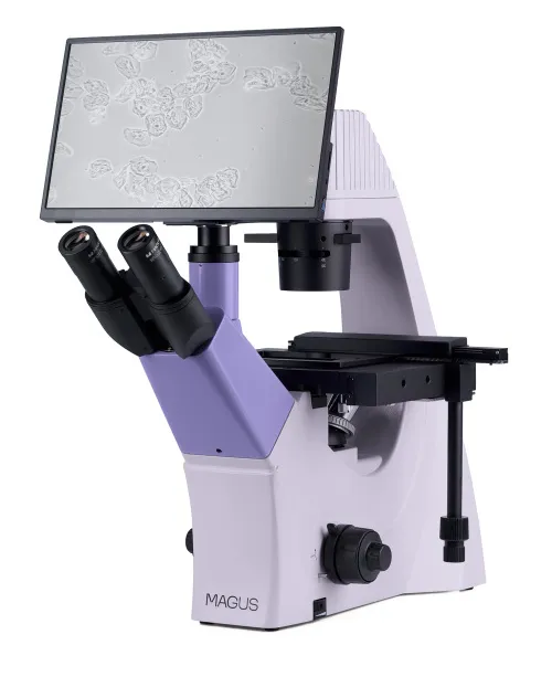 zdjęcie odwrócony mikroskop biologiczny cyfrowy MAGUS Bio VD300 LCD,  3