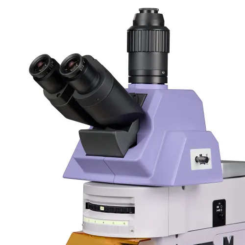 zdjęcie mikroskop fluorescencyjny MAGUS Lum 490L,  10