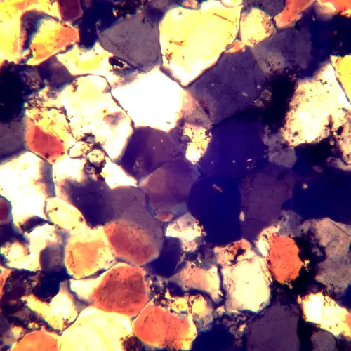 fotografia mikroskop polaryzacyjny cyfrowy MAGUS Pol D850,  26