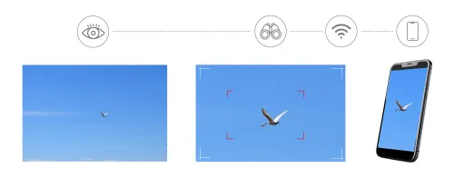 obraz cyfrowy fotomonokular Levenhuk Kelvin Snap ED 8x42,  4