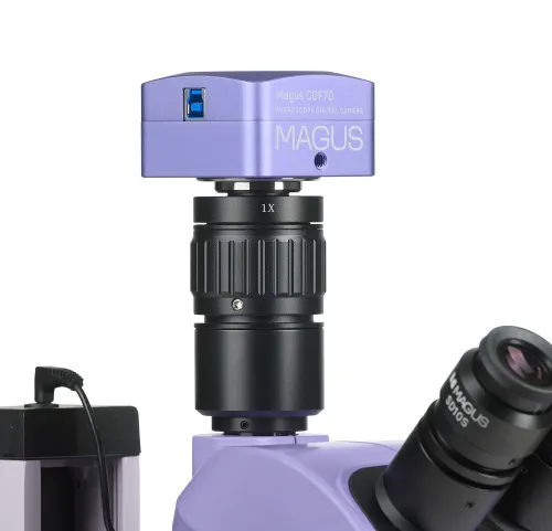 fotografia cyfrowy mikroskop stereoskopowy MAGUS Stereo D7T PLUS,  4