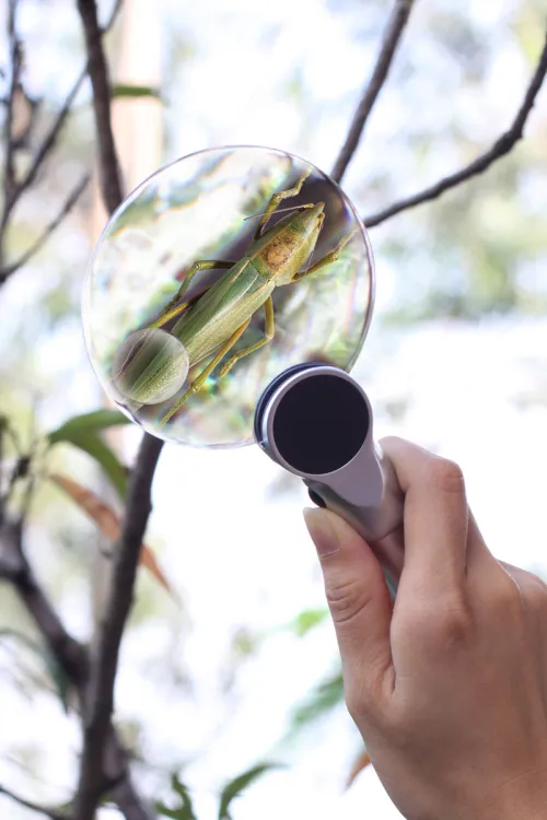 zdjęcie lupa Levenhuk Zeno 400 z podświetleniem LED, 2/4x, 88/21 mm, metalowa,  9