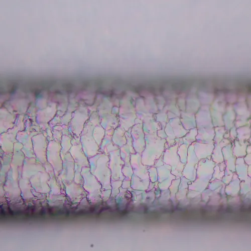 obraz mikroskop polaryzacyjny cyfrowy MAGUS Pol D800 LCD,  25