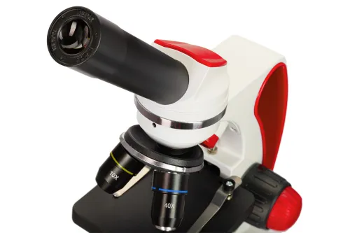 obraz mikroskop Levenhuk Discovery Pico,  10