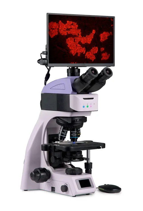 obraz cyfrowy mikroskop fluorescencyjny MAGUS Lum D460L LCD,  3