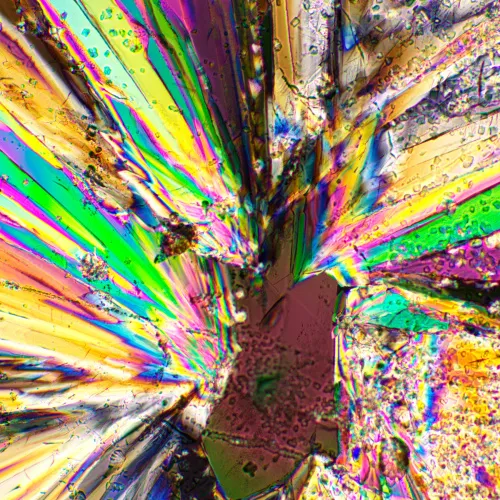 zdjęcie zestaw polaryzator/analizator MAGUS SPD1,  3