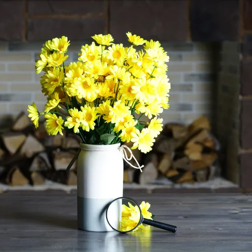 fotografia lupa Levenhuk Zeno Handy ZH5,  11