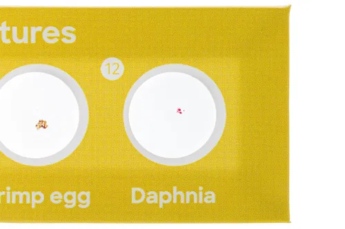 obraz zestaw 24 preparatów Levenhuk Discovery Flora i Fauna,  7