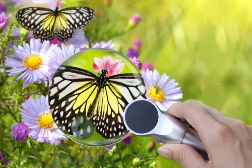 zdjęcie lupa Levenhuk Zeno 400 z podświetleniem LED, 2/4x, 88/21 mm, metalowa,  7