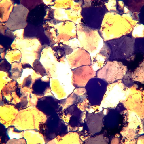 obraz mikroskop polaryzacyjny MAGUS Pol 800,  18