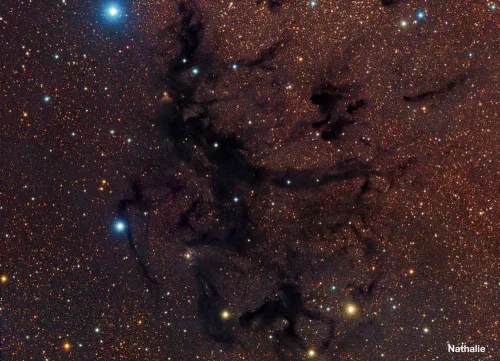 obraz tuba optyczna Meade LX200 14” F/10,  4