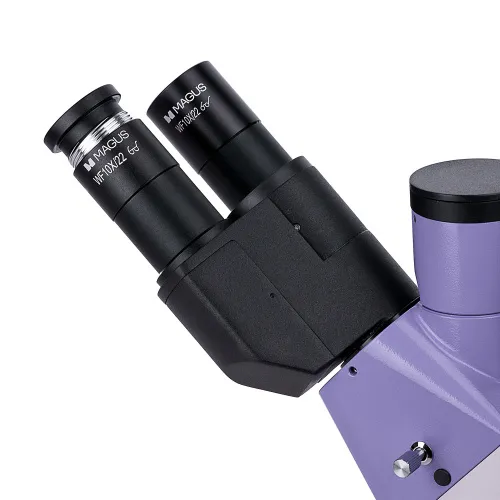 fotografia odwrócony mikroskop fluorescencyjny cyfrowy MAGUS Lum VD500 LCD,  10