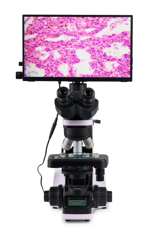 obraz cyfrowy mikroskop biologiczny MAGUS Bio D240T LCD,  4