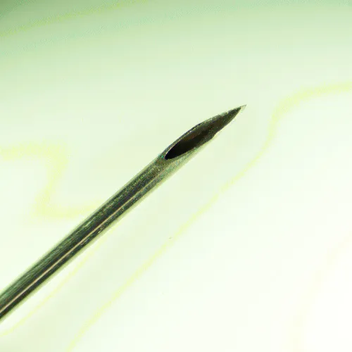 fotografia cyfrowy mikroskop stereoskopowy MAGUS Stereo D8T LCD PLUS,  22