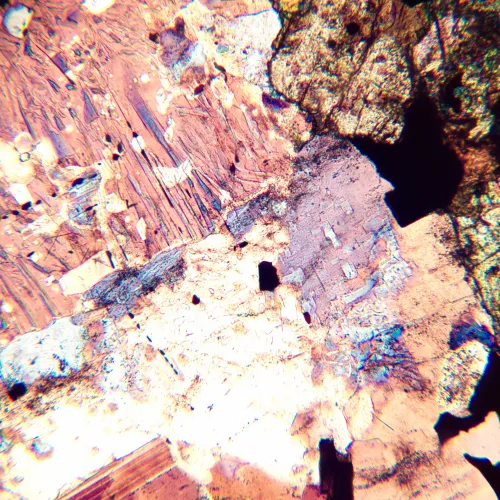 obraz mikroskop polaryzacyjny cyfrowy MAGUS Pol D800 LCD,  22