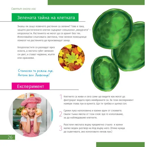 obraz mikroskop Levenhuk Discovery Micro z książką,  7